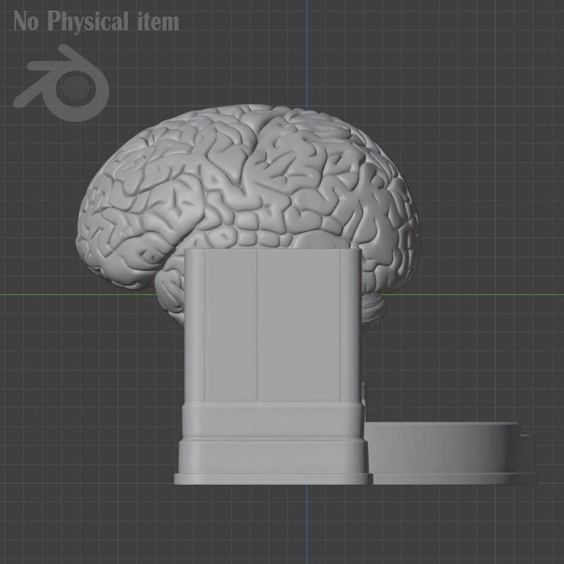 Pu&ograve; includere: Modello 3D di un cervello umano grigio chiaro, posizionato su una base rettangolare con una piccola piattaforma arrotondata. L'immagine &egrave; su uno sfondo a griglia grigia.