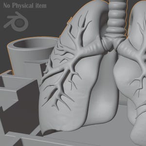Puede incluir: Un modelo 3D gris de pulmones humanos, que muestra la intrincada ramificaci&oacute;n de los bronquiolos. El modelo est&aacute; sobre un fondo gris, con el texto "No Physical item" en la esquina superior izquierda.