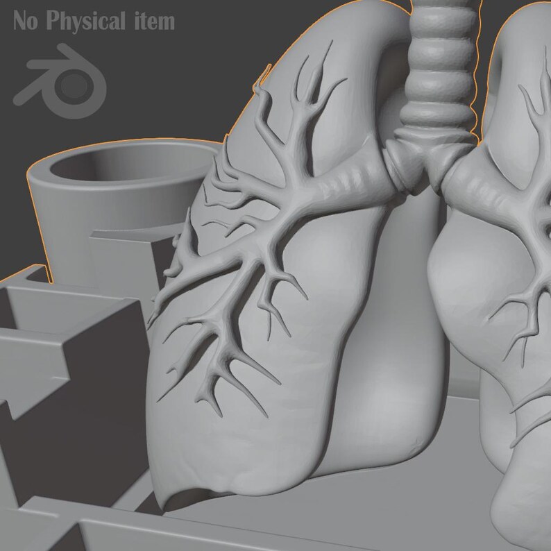 Puede incluir: Un modelo 3D gris de pulmones humanos, que muestra la intrincada ramificaci&oacute;n de los bronquiolos. El modelo est&aacute; sobre un fondo gris, con el texto "No Physical item" en la esquina superior izquierda.