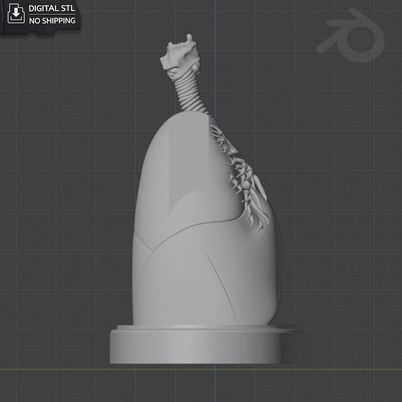 Medical Lungs Desk Organizer | Anatomical Desk Organizer | STL for 3D ...