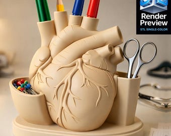 Organizzatore a forma di cuore STL / STL monocolore / Prodotto digitale / Organizzatore da scrivania medico / Cuore anatomico per la stampa 3D