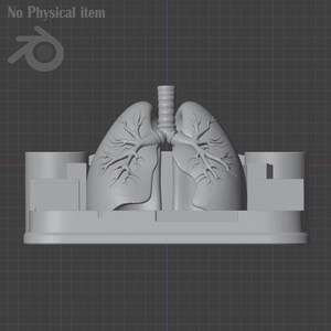 Puede incluir: Modelo anat&oacute;mico gris claro de pulmones humanos, con estructuras bronquiales detalladas. El modelo est&aacute; montado sobre una base rectangular con elementos laterales cil&iacute;ndricos y rectangulares. El texto "No Physical item" es visible.
