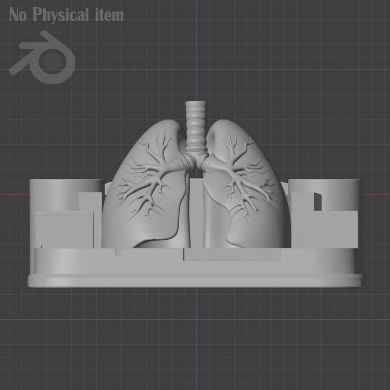 Puede incluir: Modelo anat&oacute;mico gris claro de pulmones humanos, con estructuras bronquiales detalladas. El modelo est&aacute; montado sobre una base rectangular con elementos laterales cil&iacute;ndricos y rectangulares. El texto "No Physical item" es visible.