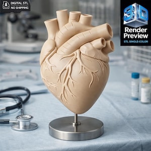May include: A beige anatomical heart model with detailed veins and arteries, mounted on a silver stand. The model is displayed on a blue surface with a stethoscope and medical supplies in the background. The image includes the text "Render Preview STL SINGLE-COLOR".
