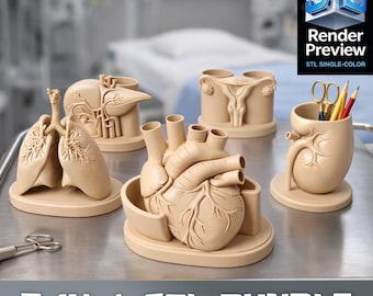 Pacchetto organizer da scrivania per uso medico / Organizzatori medici 5 in 1 / STL per stampa 3D / Prodotto digitale / Nessuna spedizione