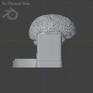 Pu&ograve; includere: Modello 3D grigio di un cervello umano, posizionato sopra una base rettangolare. Il cervello presenta dettagliate fessure e circonvoluzioni. La base ha un design a pi&ugrave; livelli, forse per l'esposizione o come parte di una scultura.
