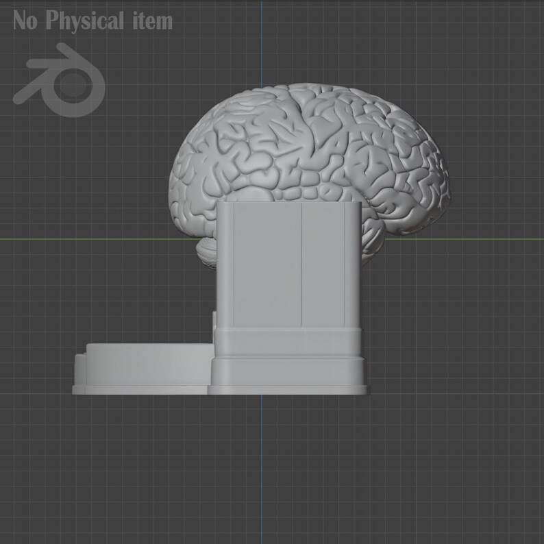 Pu&ograve; includere: Modello 3D grigio di un cervello umano, posizionato sopra una base rettangolare. Il cervello presenta dettagliate fessure e circonvoluzioni. La base ha un design a pi&ugrave; livelli, forse per l'esposizione o come parte di una scultura.