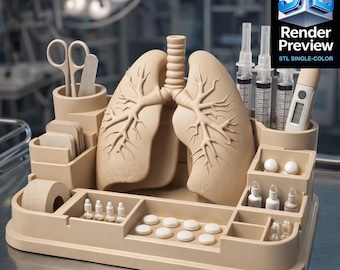 Organizzatore medico per polmoni STL / Modello di stampa 3D digitale / Organizzatore da scrivania medico / Monocolore