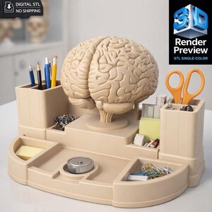 Organizzatore medico cerebrale STL / Modello di stampa 3D digitale / Organizzatore da scrivania medico / Colore singolo immagine 1