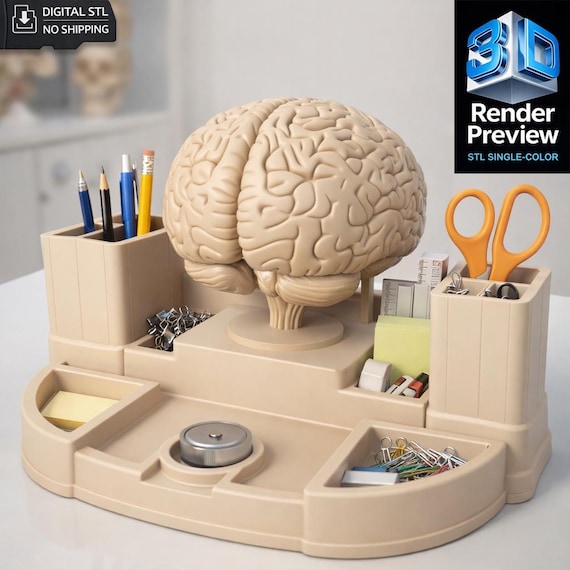 Brain Medical Organizer STL | Digital 3D Print Model | Medical Desk Organizer | Single Color