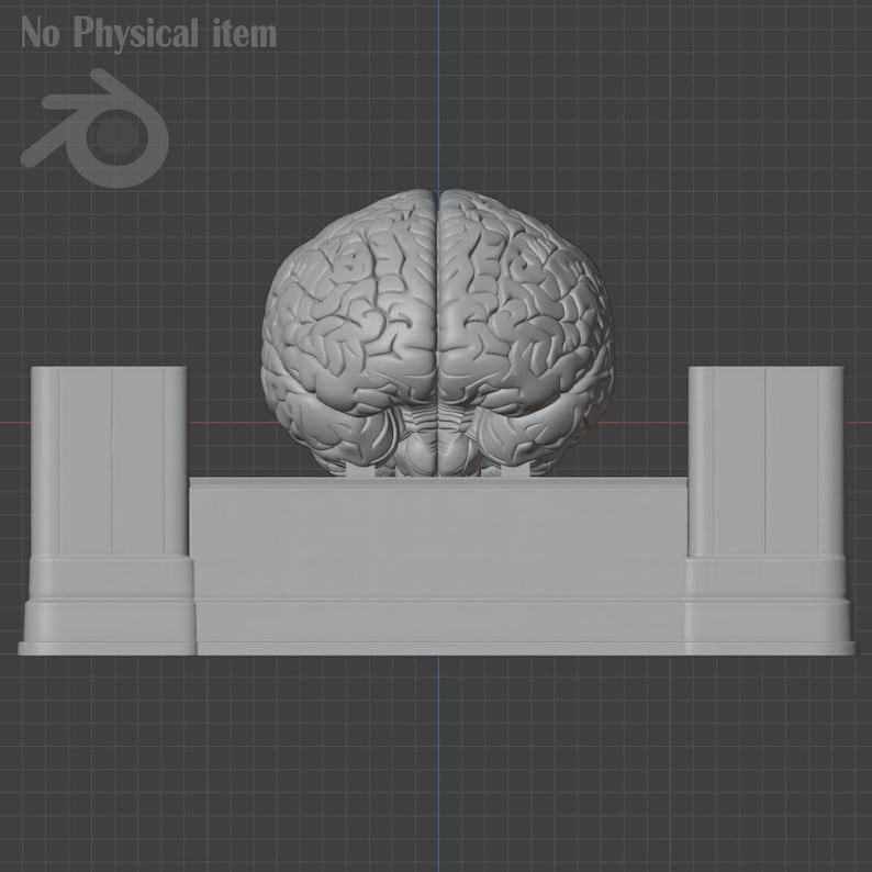Pu&ograve; includere: Modello 3D grigio di un cervello umano, posizionato su una piattaforma rettangolare con due supporti verticali. L'immagine ha uno sfondo a griglia e il testo "No Physical item".