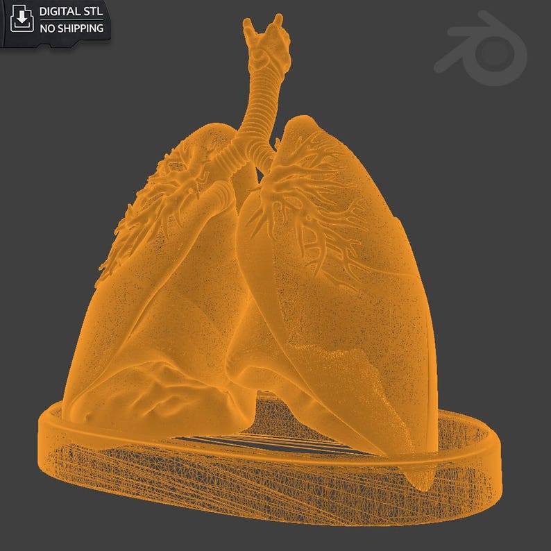 Medical Lungs Desk Organizer | Anatomical Desk Organizer | STL for 3D ...