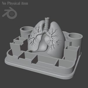 Puede incluir: Un modelo anat&oacute;mico gris de pulmones, colocado centralmente sobre una estructura tipo bandeja. El modelo incluye detalles de los bronquios y l&oacute;bulos pulmonares. La bandeja tiene compartimentos y soportes cil&iacute;ndricos, con el texto "No Physical item".