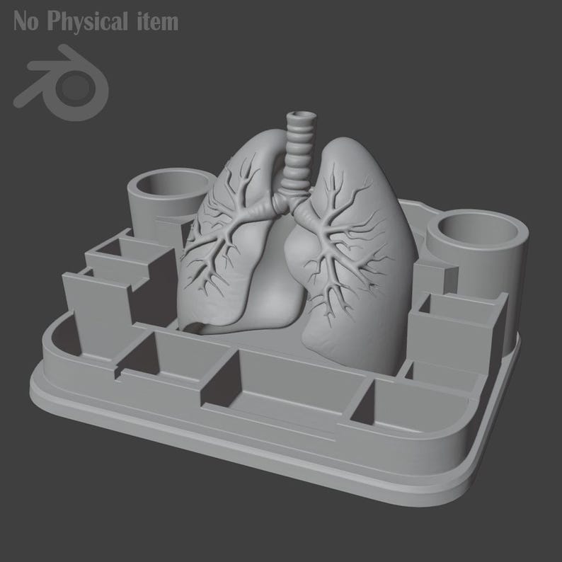 Puede incluir: Un modelo anat&oacute;mico gris de pulmones, colocado centralmente sobre una estructura tipo bandeja. El modelo incluye detalles de los bronquios y l&oacute;bulos pulmonares. La bandeja tiene compartimentos y soportes cil&iacute;ndricos, con el texto "No Physical item".