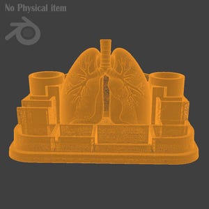 Puede incluir: Modelo anat&oacute;mico naranja de pulmones, con estructura pulmonar detallada y tr&aacute;quea central. El modelo incluye dos soportes cil&iacute;ndricos y est&aacute; sobre una base escalonada.