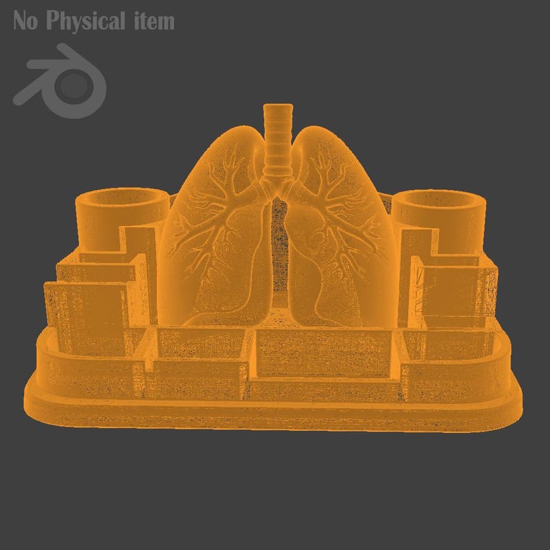 Puede incluir: Modelo anat&oacute;mico naranja de pulmones, con estructura pulmonar detallada y tr&aacute;quea central. El modelo incluye dos soportes cil&iacute;ndricos y est&aacute; sobre una base escalonada.