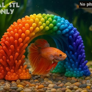 May include: A vibrant, rainbow-colored coral reef arch in an aquarium, with a bright orange Betta fish swimming beneath it. The words "DIGITAL STL FILE ONLY" and "No physical item" are in the image.