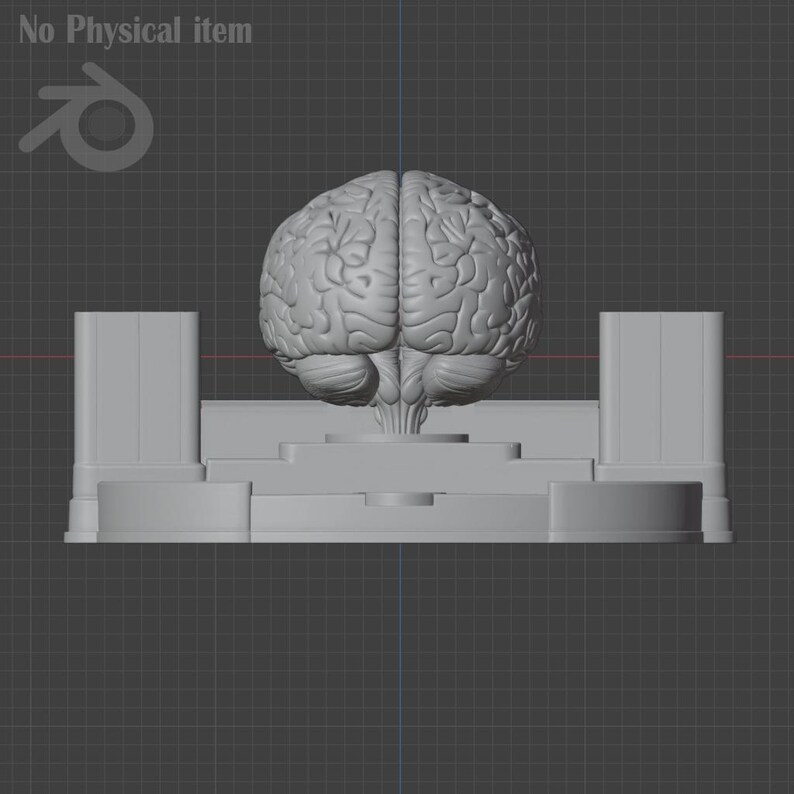 Pu&ograve; includere: Modello 3D grigio di un cervello umano, posizionato su una piattaforma a pi&ugrave; livelli con due pilastri rettangolari. Il modello &egrave; su uno sfondo a griglia, con il testo "No Physical item" in alto a sinistra.