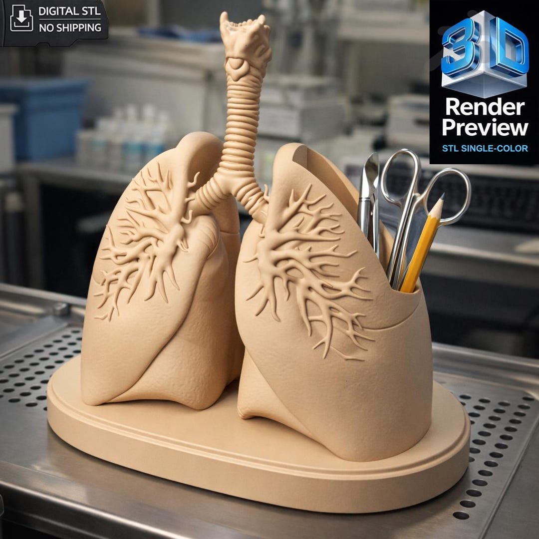 Medical Lungs Desk Organizer | Anatomical Desk Organizer | STL for 3D ...