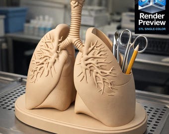 Organizzatore da scrivania per polmoni medici / Organizzatore da scrivania anatomico / STL per stampa 3D / Prodotto digitale / Nessuna spedizione