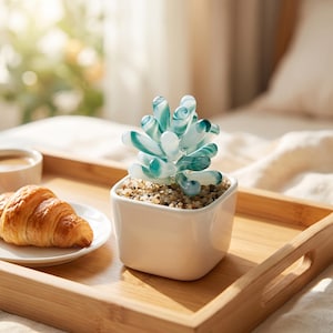 Puede incluir: Una planta suculenta decorativa de vidrio con hojas redondeadas y translúcidas en tonos verde azulado y blanco, plantada en un pequeño recipiente cuadrado de cerámica blanca lleno de guijarros de color marrón claro.