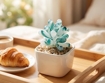 Glazen succulente plantenbak, mini-potplant voor bureau, kantoorplankaccent, cadeau plantenliefhebber
