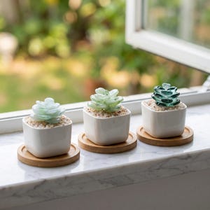Liuli 多肉植物鉢植え装飾、植物風デスクオーナメント、植物好きへのギフト（自宅、オフィス、窓辺用）