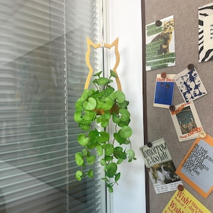 May include: A wooden cat-shaped hanging planter holding a cascading green plant with round leaves. The planter is suspended by a white string near a window. The image also shows a bulletin board with various printed cards and text.