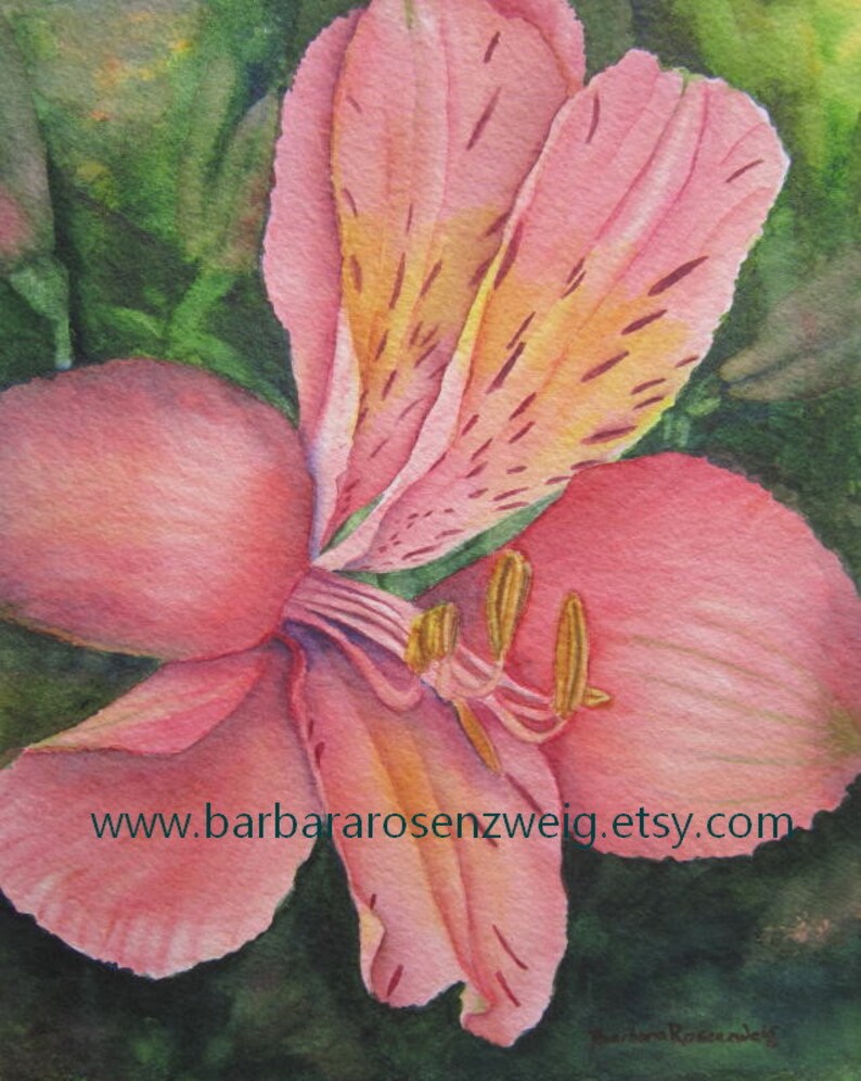 Alstroemeria Pink Lily Flower Original Watercolor Painting image 1