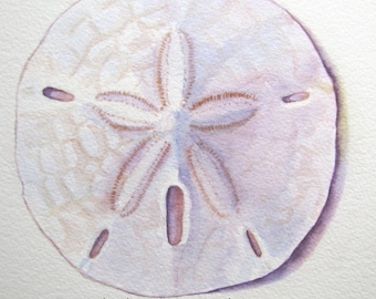 Sand Dollar Watercolor Painting, Shell Canvas Art Print