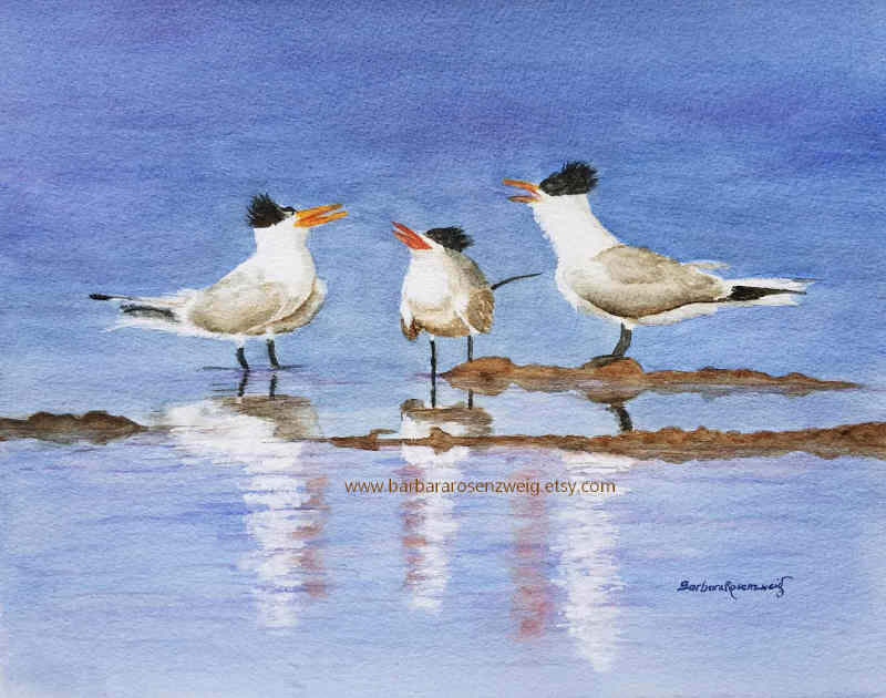 Beach Birds Watercolor Painting Bird Print Bird Lover Etsy