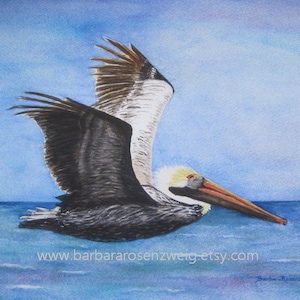 Flying Pelican Watercolor Painting, Coastal Home Décor Wall Art image 1