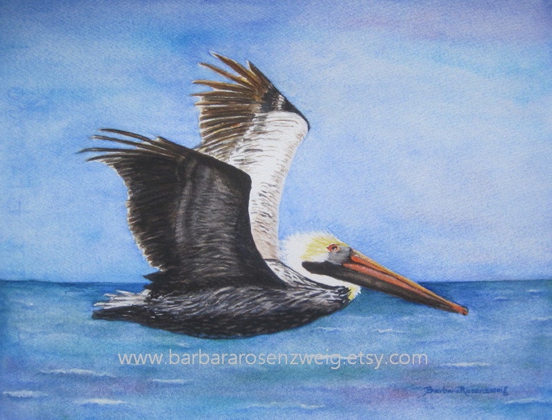 Flying Pelican Watercolor Painting, Coastal Home Décor Wall Art image 1