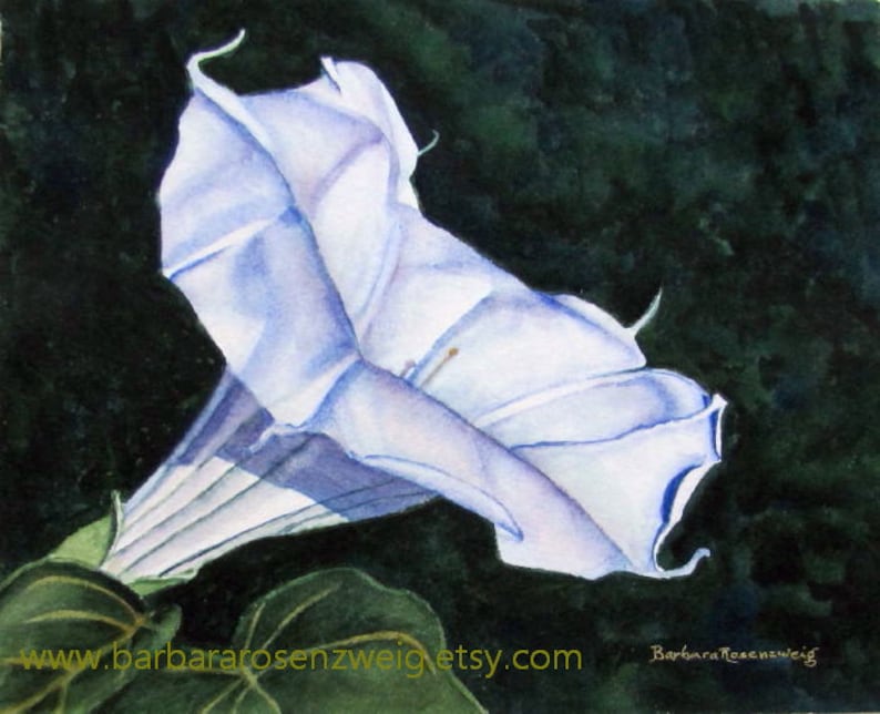 Original White Flower Watercolor Painting, Devil's Trumpet Garden Home Décor Wall Art image 1