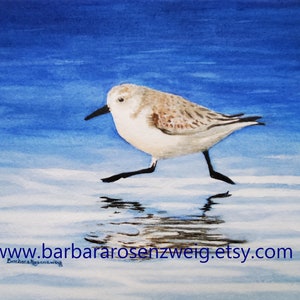 Original Watercolor Sandpiper Beach Bird Painting, Anna Maria Island Coastal Décor