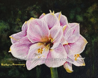 Pink Flower Amaryllis Watercolor Painting, Exotic Tropical Flower Canvas