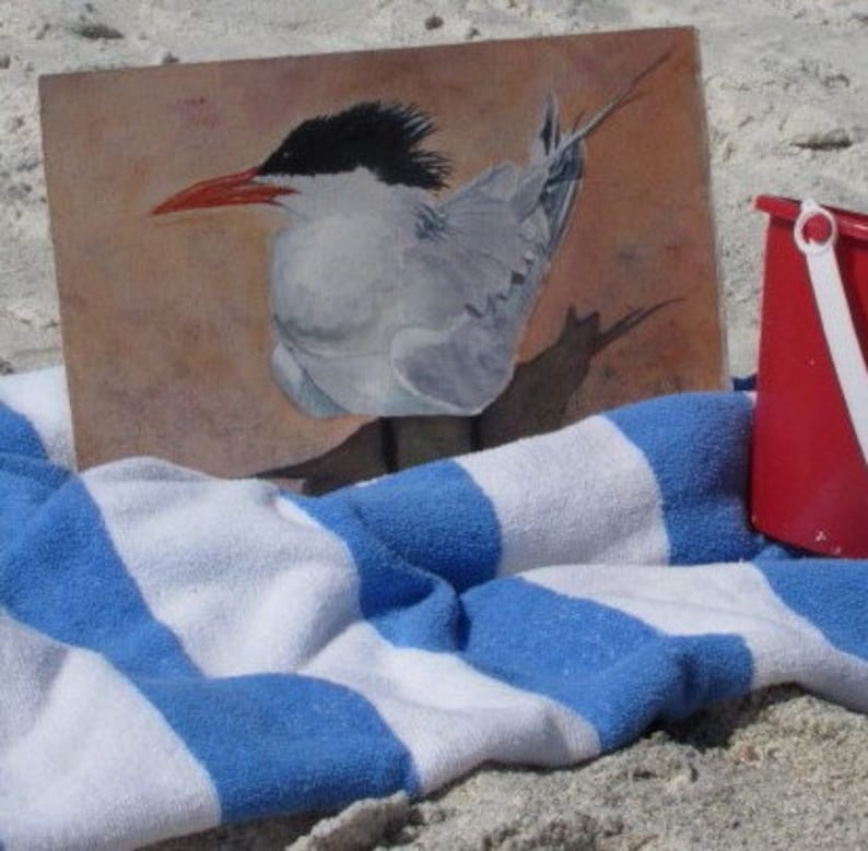 Beach Bird Coastal Print, Bird Painting, Anna Maria Island, Beach Decor, Coastal Art, Royal Tern Florida Bird Watercolor Art, Canvas Print image 7