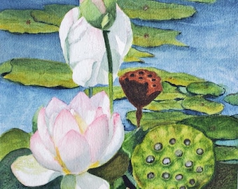 Lotus Pink Flower Watercolor Painting