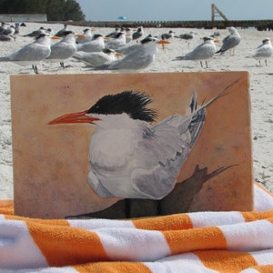 Beach Bird Coastal Print, Bird Painting, Anna Maria Island, Beach Decor, Coastal Art, Royal Tern Florida Bird Watercolor Art, Canvas Print image 3