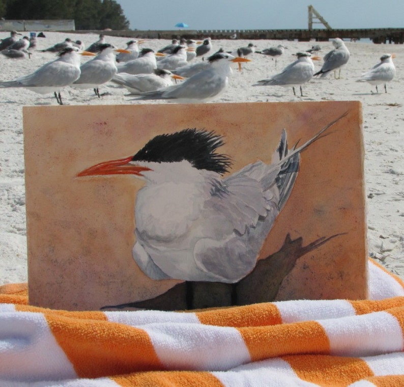 Beach Bird Coastal Print, Bird Painting, Anna Maria Island, Beach Decor, Coastal Art, Royal Tern Florida Bird Watercolor Art, Canvas Print image 3