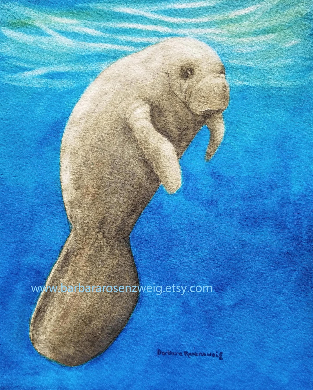 Manatee Art Manatee Painting Coastal Decor Beach Painting Anna manatee-art-manatee-painting-coastal-decor-beach-painting-anna