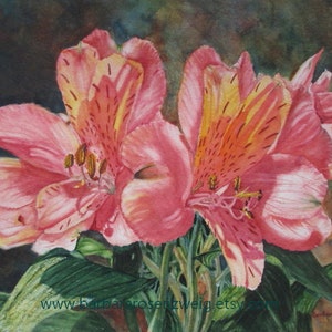 Pink Flower Watercolor Painting, Alstroemeria Art Print image 1