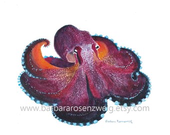 Colorful Coconut Octopus Watercolor Painting Art, Coastal Canvas Print, Mollusk Master of Disguise