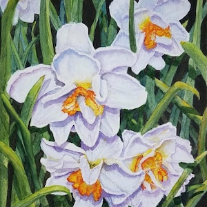 White Narcissus Daffodil Watercolor Painting, Daffodil Floral Room Home Decor Print, March Birth Flower, Daffodil Painting Wall Art Print