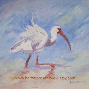 Ibis Aquarell Gemälde, Küstenvogel Wandbild, Strand Wildtier Druck, Tropisches Küstendekor, Florida Küstenvogel Geschenk für Naturliebhaber