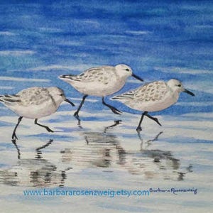 Beach Sandpipers Watercolor Painting: Coastal Bird Art Print