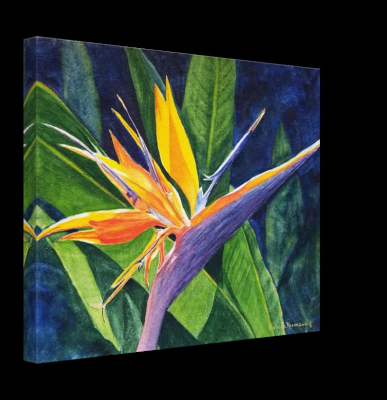 Bird of Paradise Watercolor Painting, Tropical Flower Wall Art Print image 8