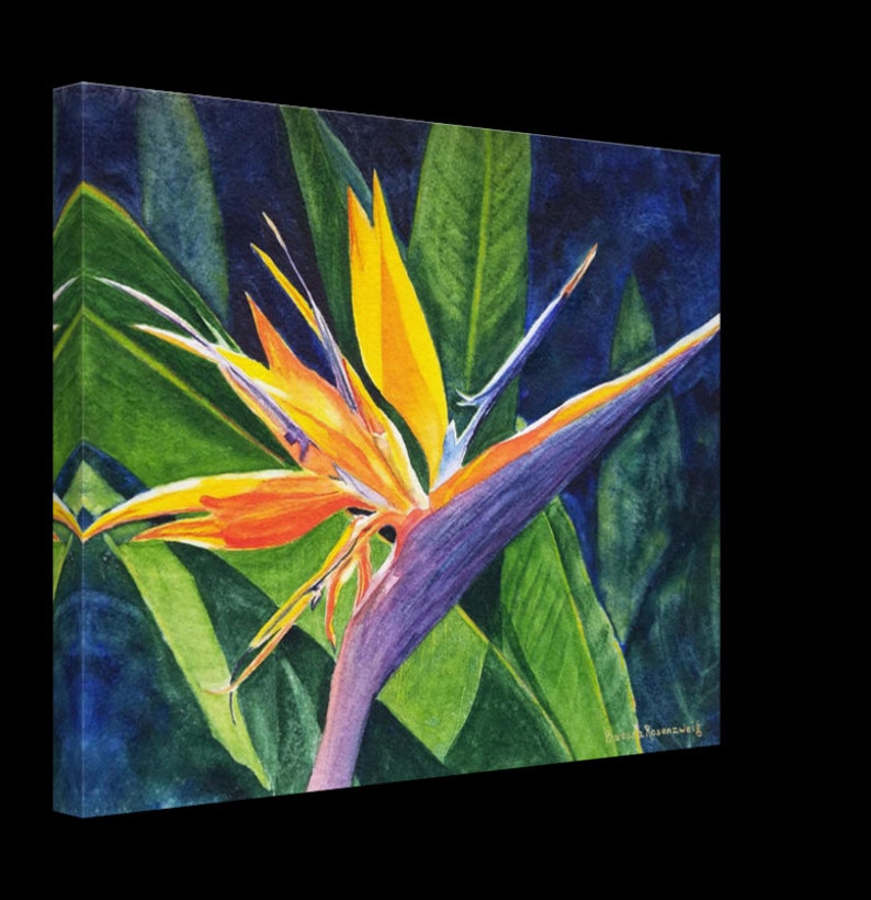 Bird of Paradise Watercolor Painting Tropical Flower Wall Art Etsy