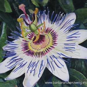 Tropical Passion Flower Wall Art Watercolor Painting, Botanical Watercolor Print, Handpainted Flower Print, Canvas Giclee Print Home Decor