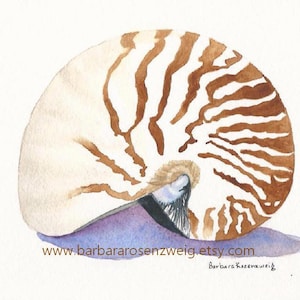 Nautilus Shell Watercolor Painting, Coastal Seashell Wall Art, Beach House Decor, Ocean Nature Print, Shell Print Gift for Sea Lovers